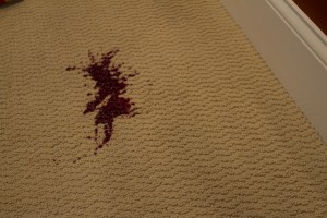 carpet maintenance