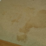 carpet spots, carpet stains